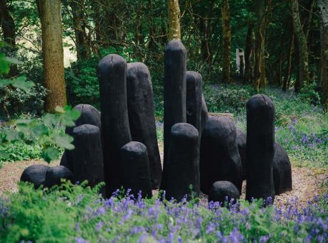 David Nash RA - Artworks and Sculptures in Cornwall - Sculpture Park and Gardens