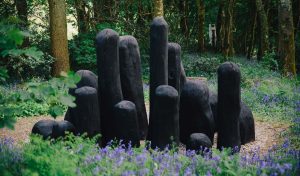 Our Story - Tremenheere Sculpture Gardens in Cornwall