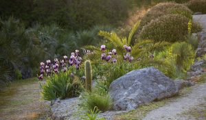Plan Your Visit - Tremenheere Sculpture Gardens in Penzance