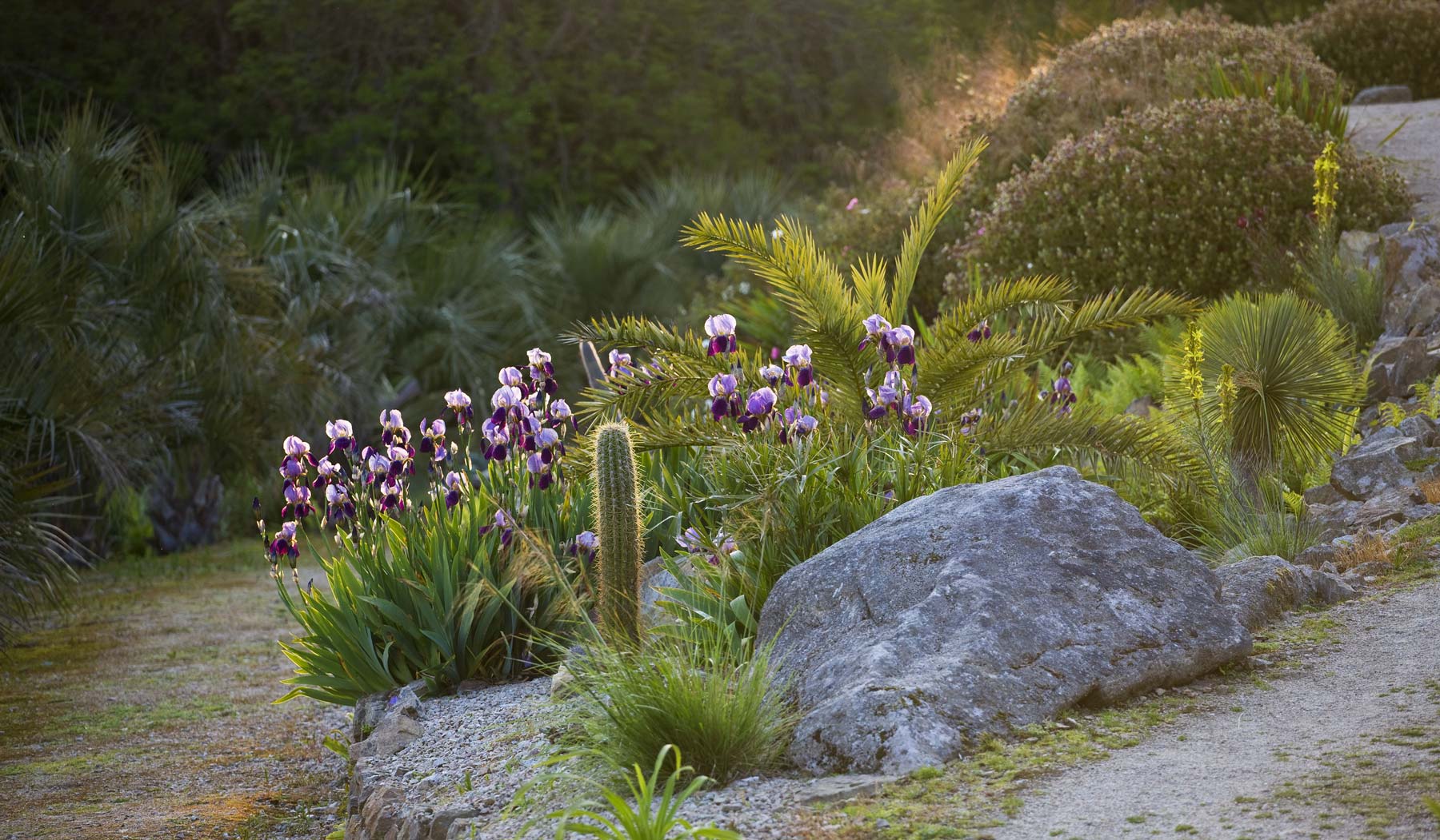 Plan Your Visit Tremenheere Sculpture Gardens in Penzance