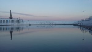 Jubilee Pool - Things to do in Penzance - Tremenheere Sculpture Gardens