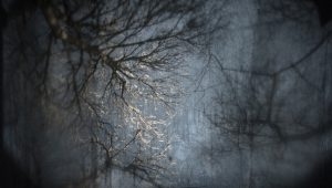 James Turrell, Aqua Oscura, Winter, 2015